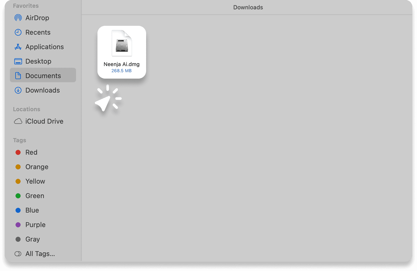The Neenja DMG in the Downloads folder